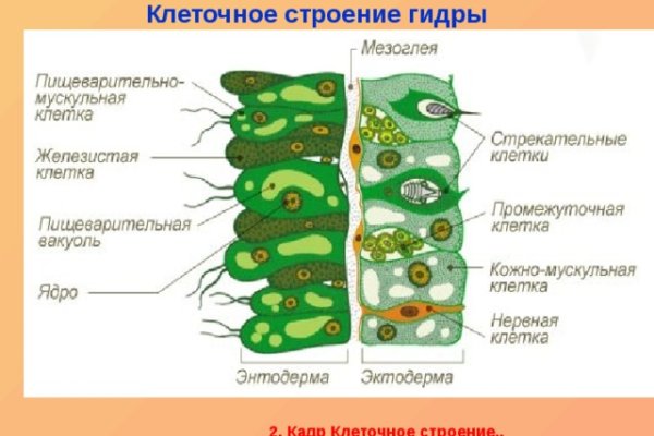 Ссылки на кракен зеркала