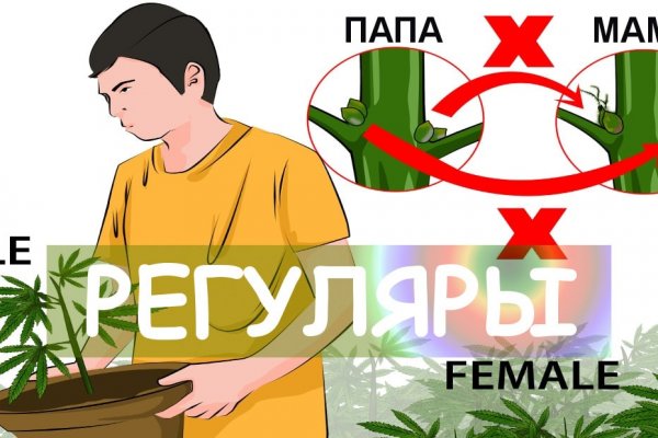 Hydra через tor hydra ssylka onion com