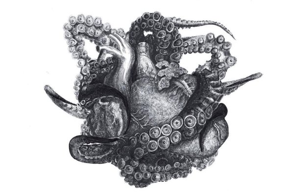Kraken сайт вход