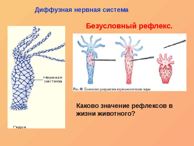 Кракен сайт 18