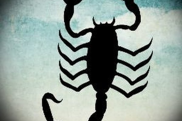 Сайт вместо гидры
