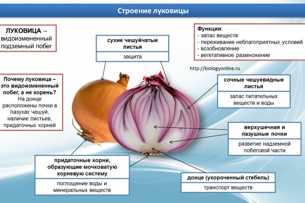 Кракен даркнет маркет ссылка тор